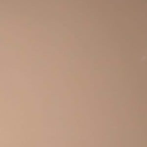 Meet your Posher, Bailey